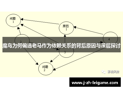 魔鸟为何偏选老马作为依赖关系的背后原因与深层探讨 魔鸟为何偏选老马作为依赖关系的背后原因与深层探讨